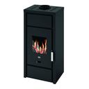 Wood stove Eva Calor Ester